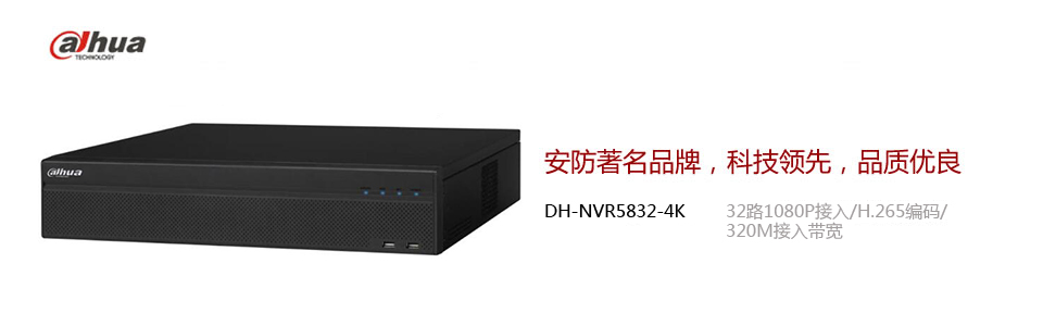 DH-NVR3816